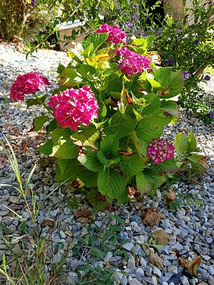 O Refuxio de la Jerezana