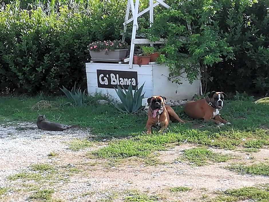 Ca' Blanca