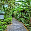 Pachira Lodge