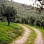 La Quercetta