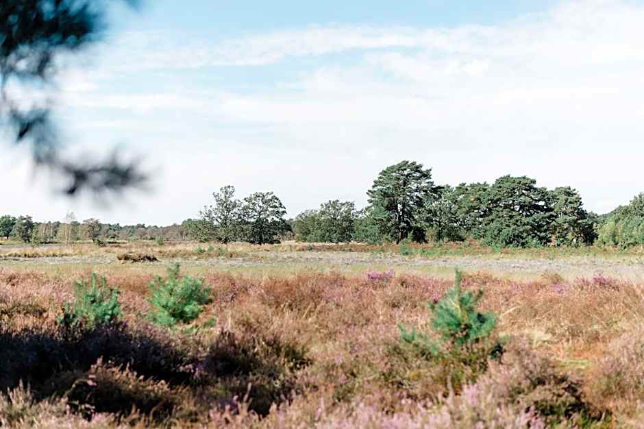 Rustpunt Groote Heide