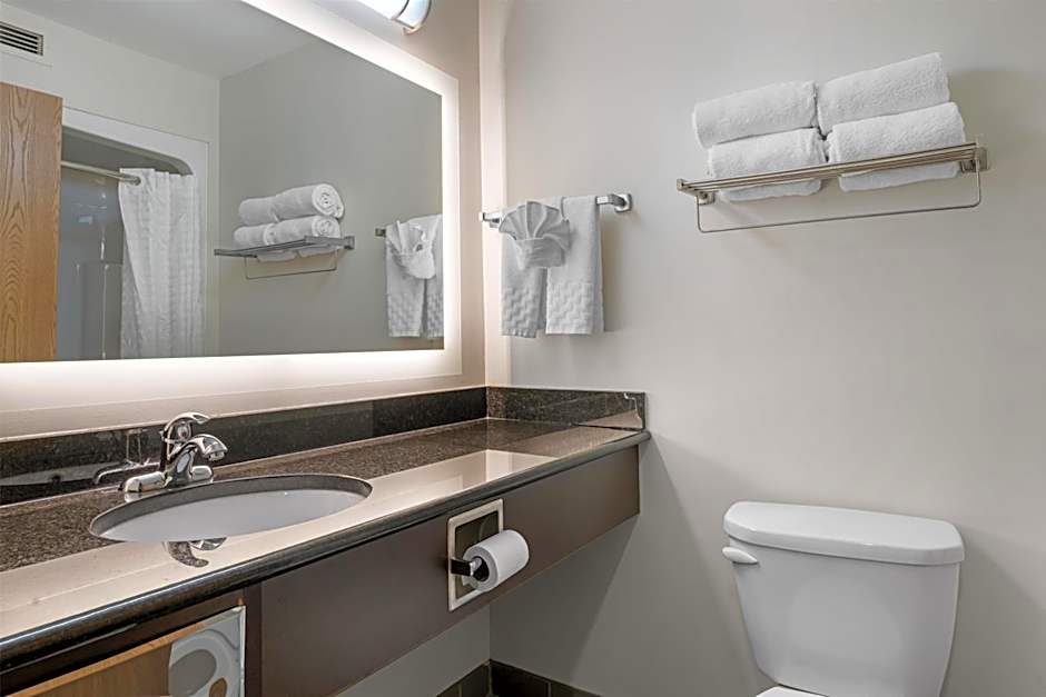 Best Western Plus Dartmouth Hotel & Suites
