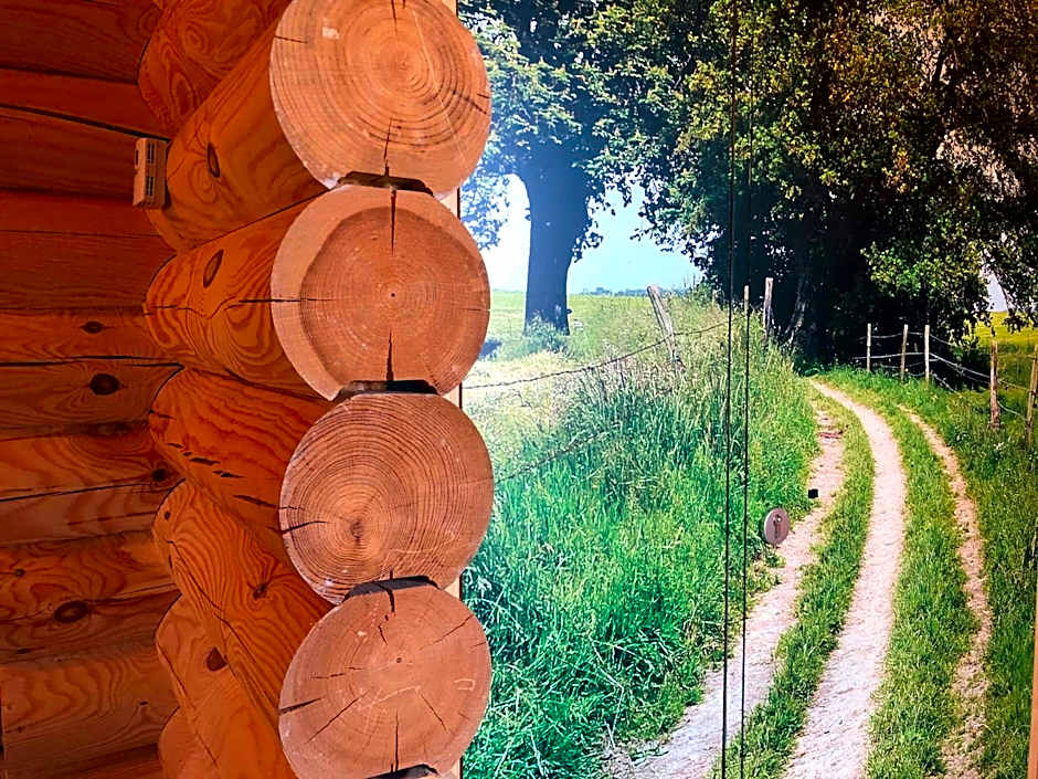 Boomstamhuis High Chaparral