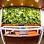 Boutique Rooms