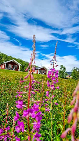 Levajok Lodge