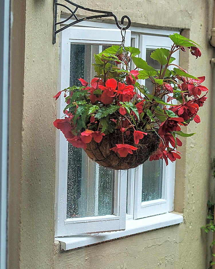 Percy Terrace Bed and Breakfast
