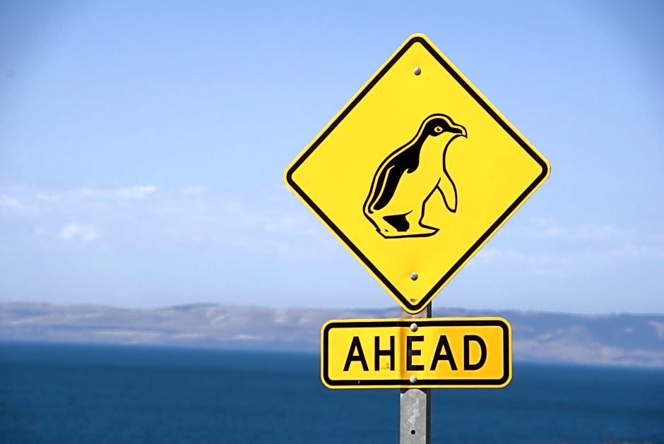 Kangaroo Island Seafront