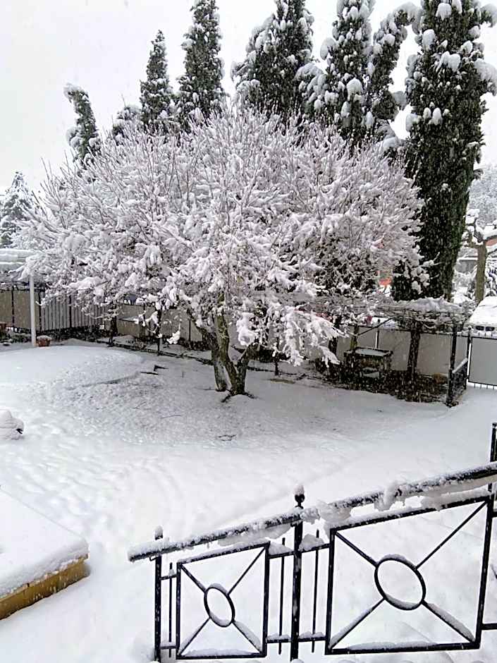 Hotel Hofmann Zur Mühle