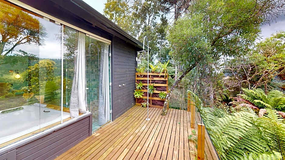 Cisne Negro Villarejo