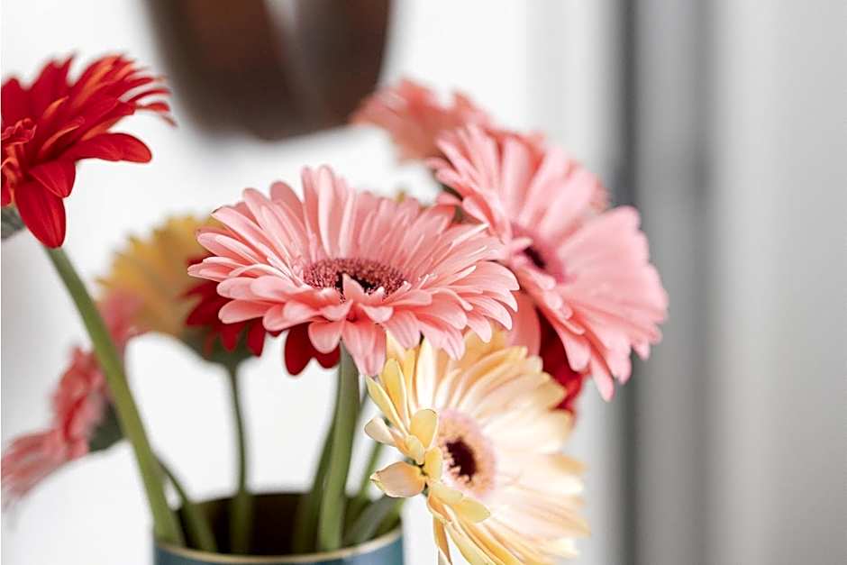 Porta Nera Private Living - adults only