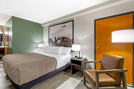 King Room - Disability Access/Non Smoking