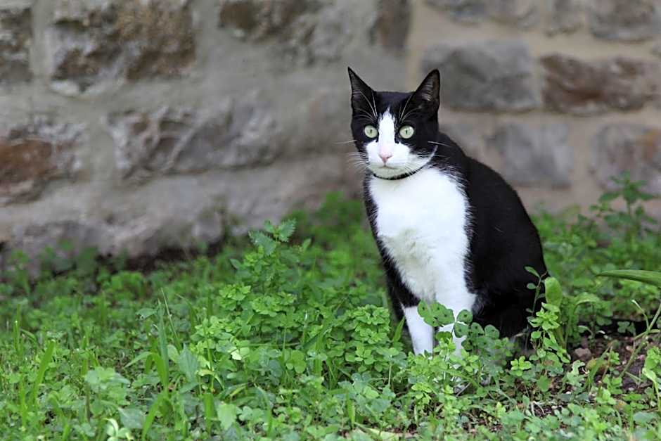 Le Clos du Théron, chambre d'hôte
