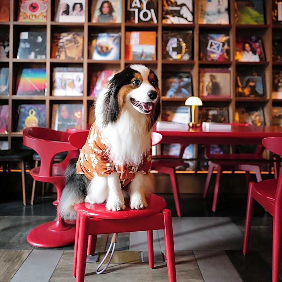 Episode Daan Taipei, JdV by Hyatt Hotel