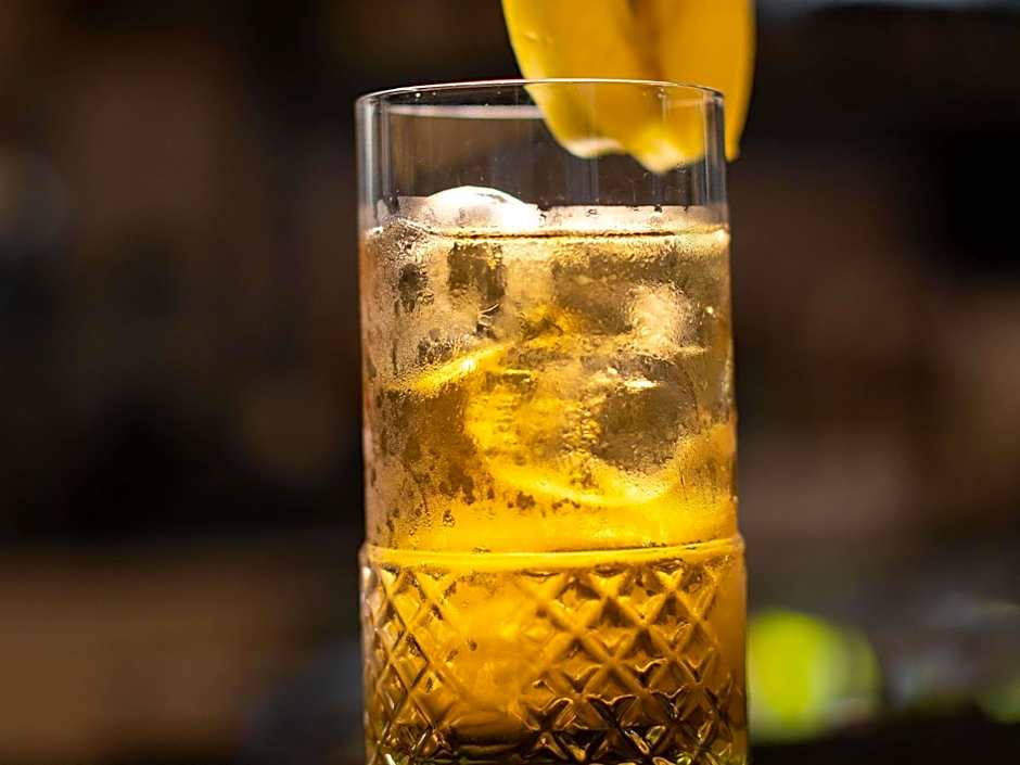 ibis Marseille Centre Euromed