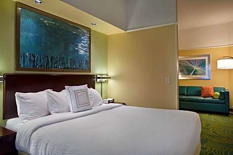 King Suite with Sofa Bed