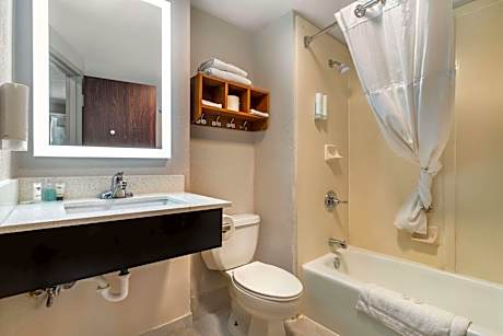 1 King Bed Nonsmoking