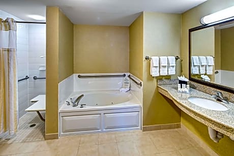 Suite Deluxe King Bed