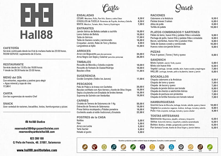 Zenit Aparthotel Hall 88