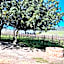 Groenvlei Guest Farm