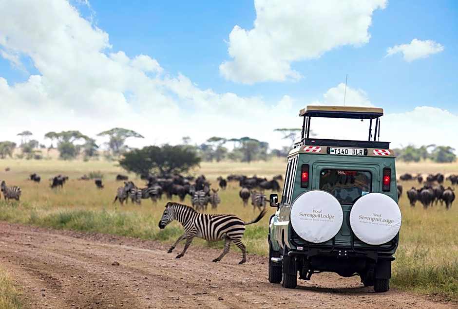 Melia Serengeti Lodge