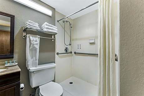 Accessible - 1 King Mobility Accessible Roll In Shower Non-Smoking Full Breakfast