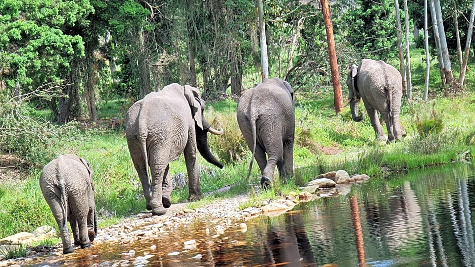 Botlierskop Private Game Reserve