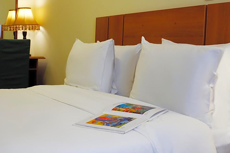 Ani Plaza Hotel