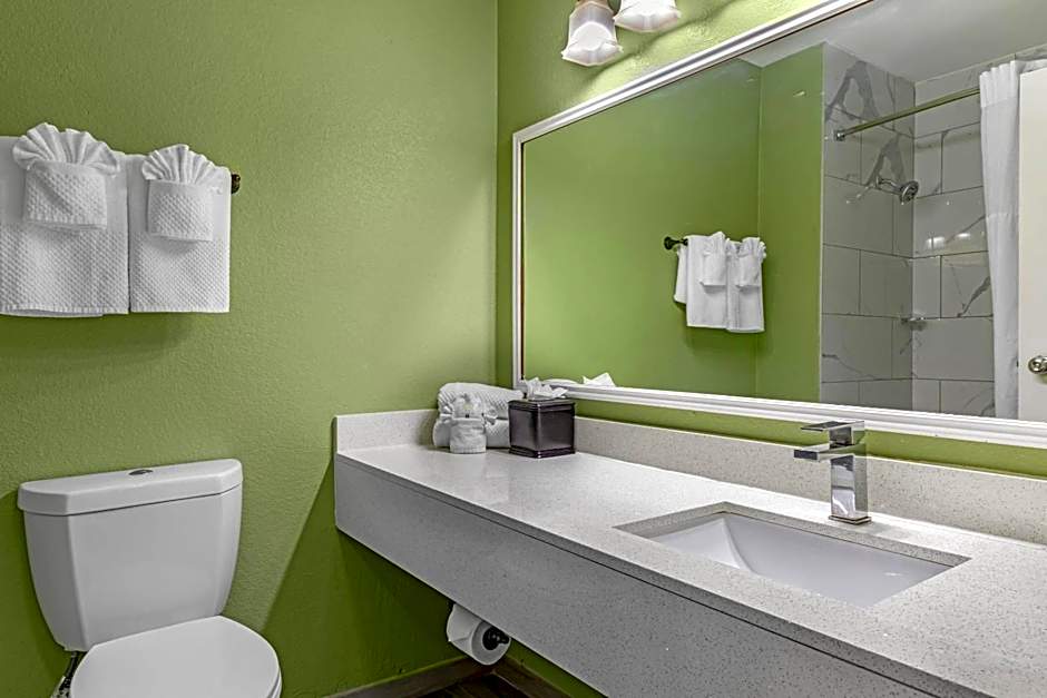 Quality Inn & Suites Plano