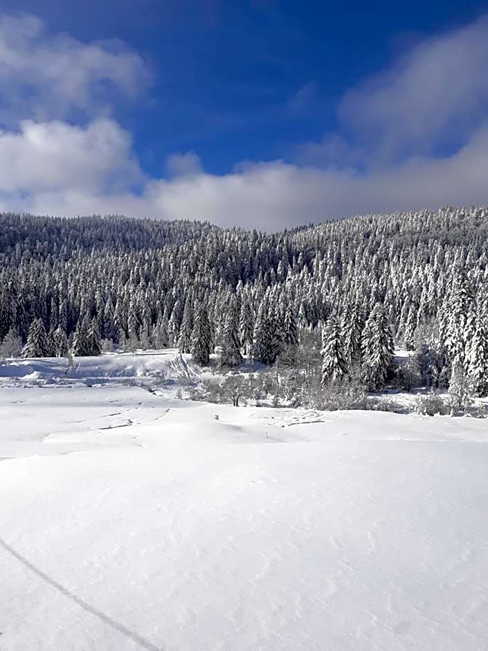 Domaine Des Hauts Viaux