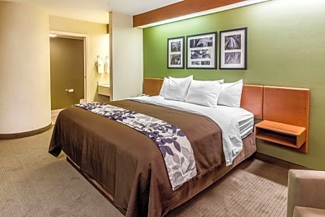 1 King Bed, Nonsmoking