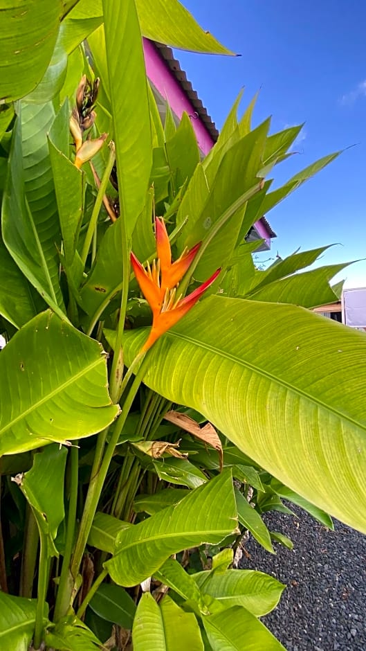 Au Bel'vue chez Sandrine "Gite & Chambre d'hôtes"