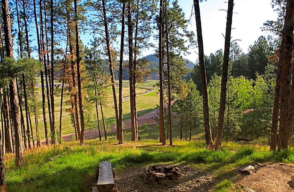 Mountain View Lodge & Cabins