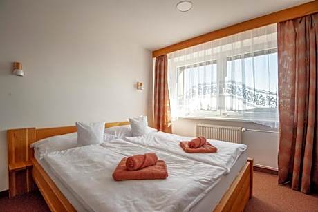 Double or Twin Room with Mountain View