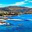 Never at Home Hermanus