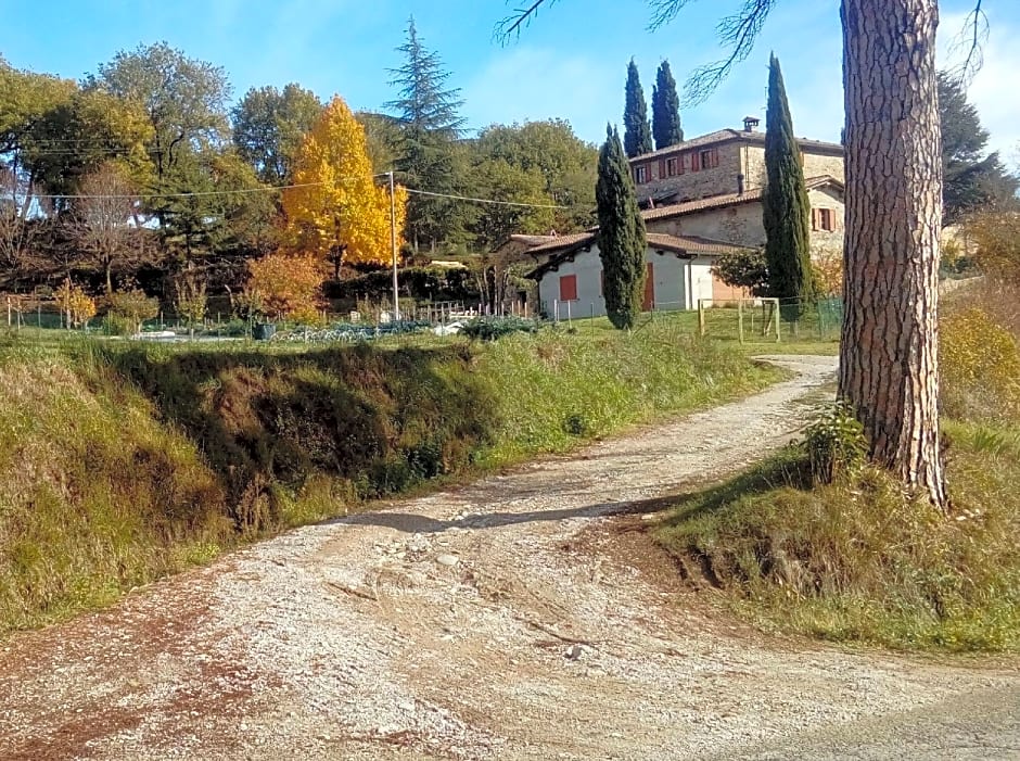 Tana Del Tasso