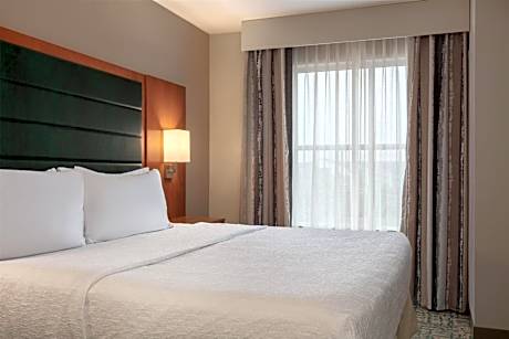 One-Bedroom King Suite - Non-Smoking