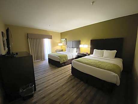 Double or Twin Room - Disability Access