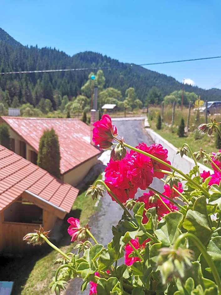 Вила Дяволска пътека