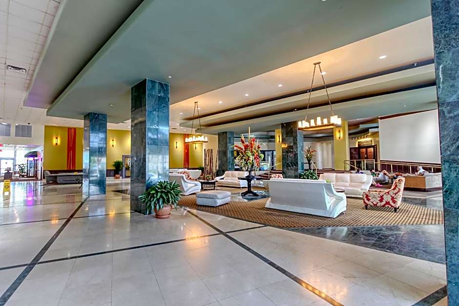 Deluxe Studios and Apartments at the Casablanca