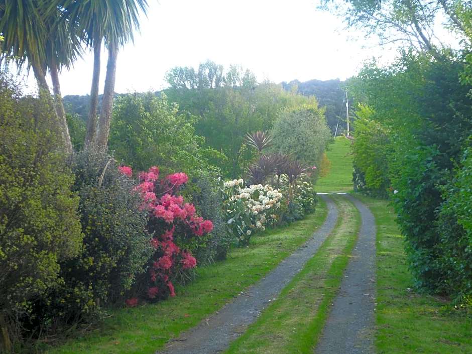 Hilltop Accommodation Catlins