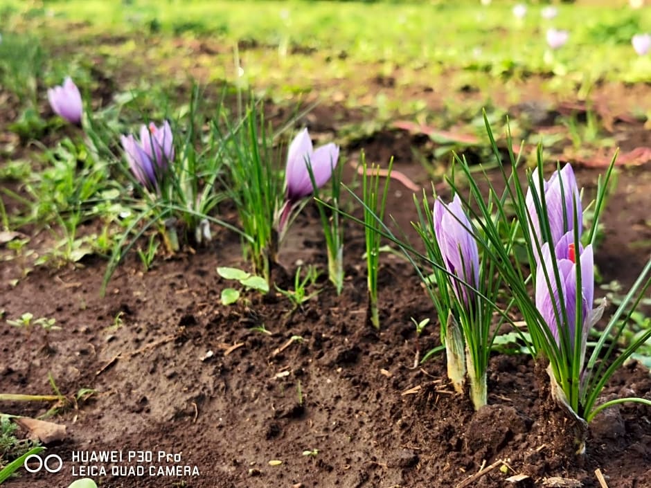 Bed And Breakfast "ANNA"