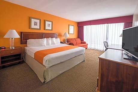 King Studio Suite - Non-Smoking