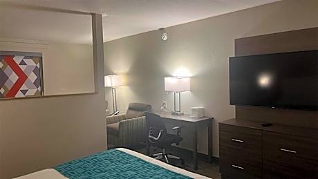 King Studio Suite - Smoking