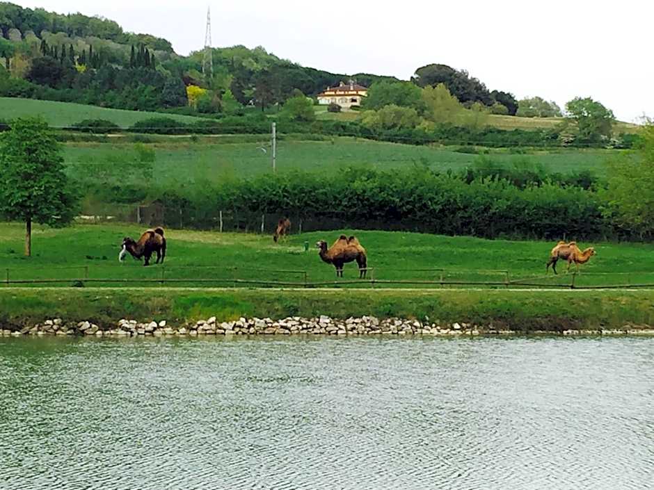 Relais Todini