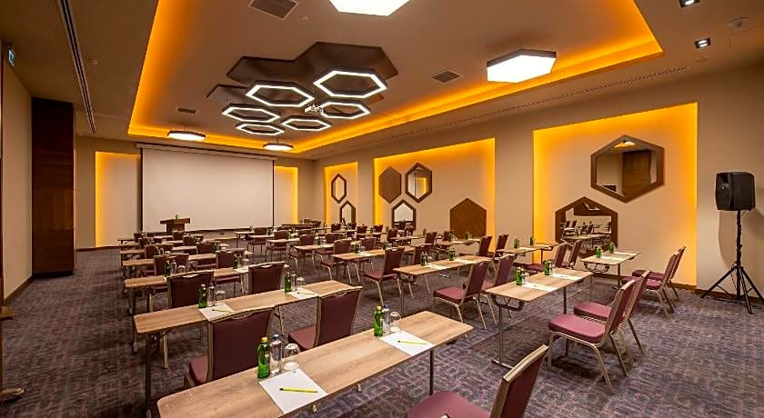 Holiday Inn Kayseri - Duvenonu