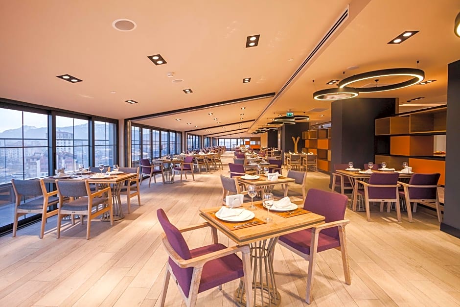 Holiday Inn Kayseri - Duvenonu By IHG