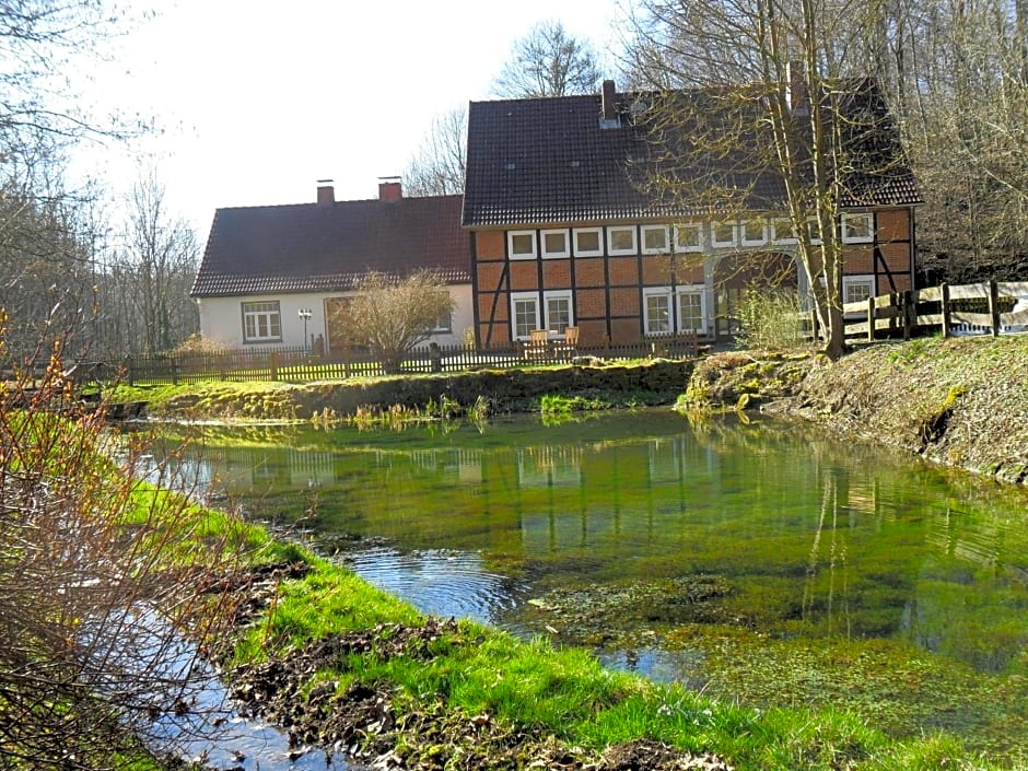 Höllenmühle Bed & Breakfast at the Mill Pond