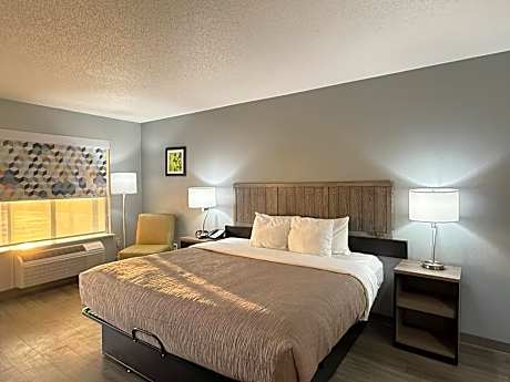 1 King Bed Non-Smoking