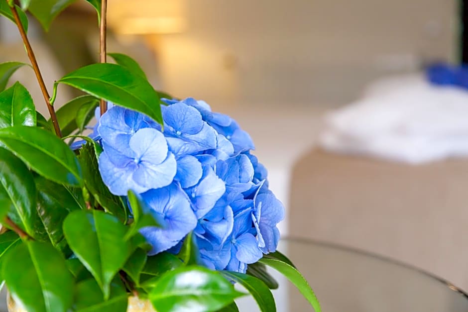 Sao Miguel Park Hotel