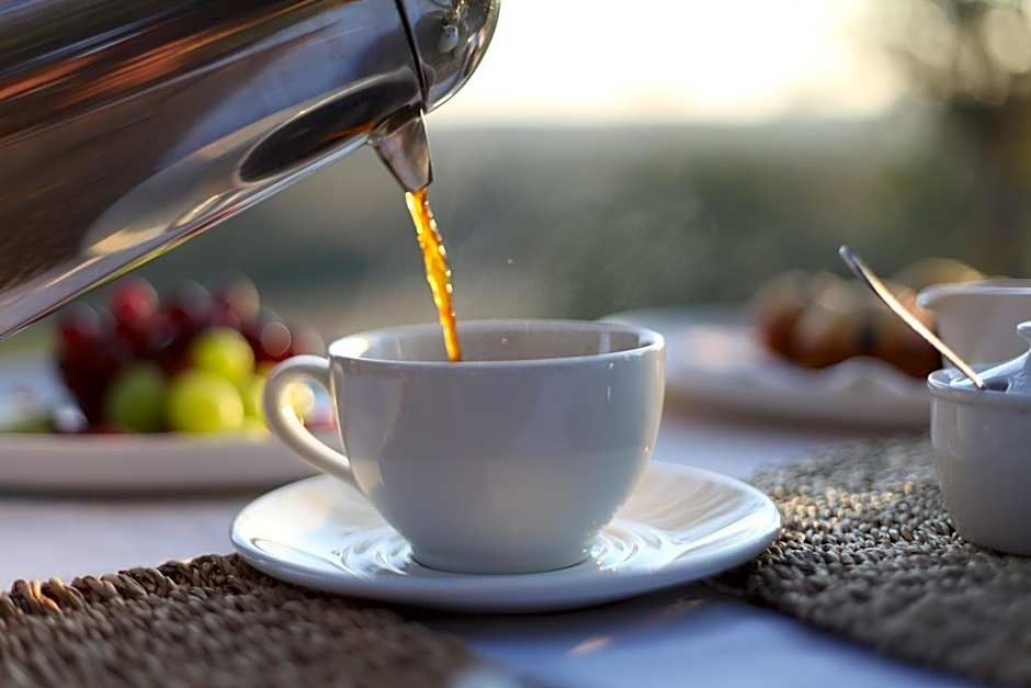 Ivory Wilderness River Rock Lodge